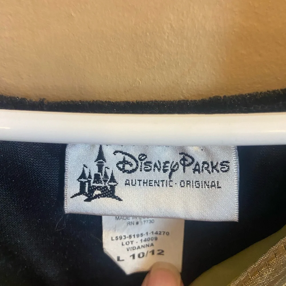 Disney Parks Frozen Anna Coronation Gown Girls Costume size large 10/12